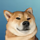 75326874550880600326490188935567191876487813911489107474527429791772410118145
