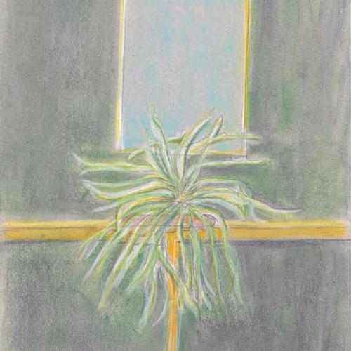 Our Plant