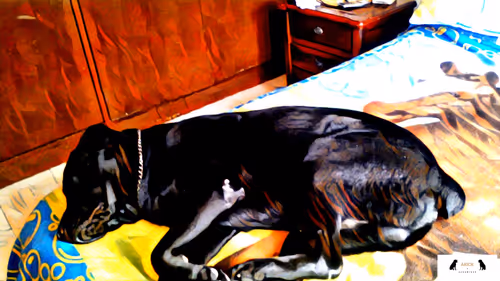 Item #10567450016853403337930259676618451783682953632793231315200837921788548612097 Media