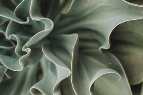 Item #108544351110440533593506123871228934432996168508738966361108671567705420070913 Media