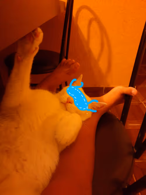 Item #23717691268860390421092059778351423278394515577450135489991204946204902293505 Media