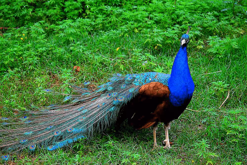 Item #81039049813216597257953829520223769972049979763513540310904561867166616387585 Media