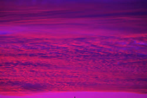 Item #102771070306004819985898819999052787652815039064996374663455446006000154312705 Media