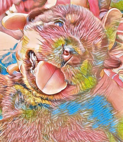 Item #24515379016287833430110687259411372809394655166763807580583558325785098977281 Media