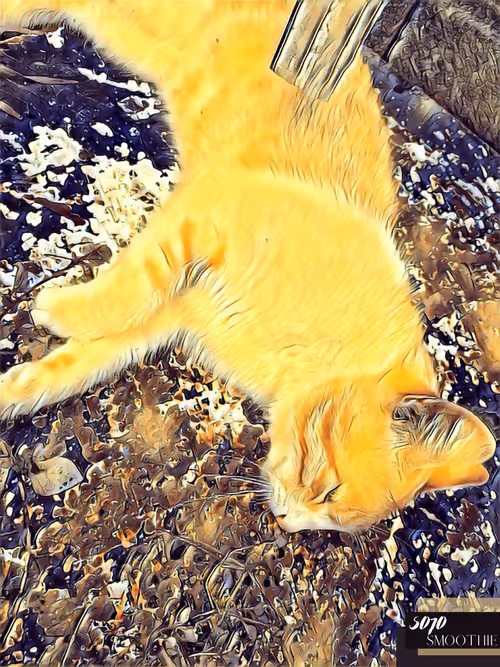 Item #70173555060280459679020221103172679865592931086946583501557978895295176507393 Media