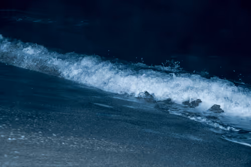 Item #65334289746679534718729475887804441956060191570096093289886828072887377723393 Media