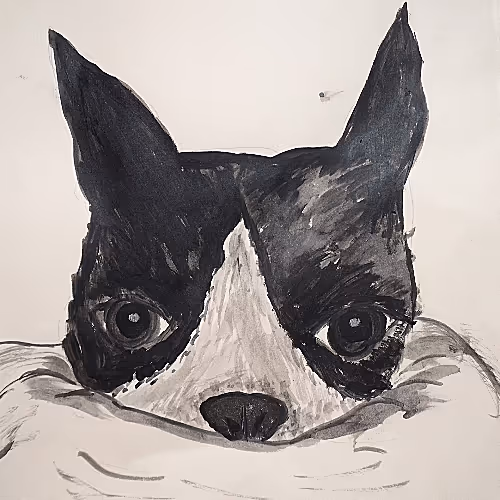 15754840023429334557138315796923330955539742949175386053560965619218384945153