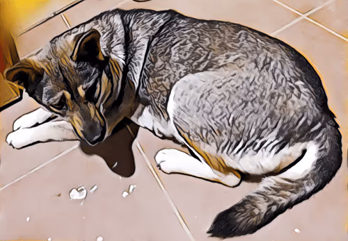 Item #74122138759525378795667626270866148487737655975912799548892276406779776073729 Media