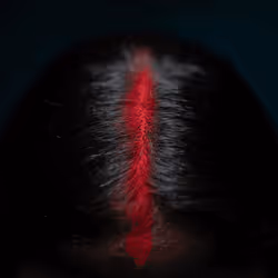 109162157552346088047496633038404394118504199992061596446112929397322477993985