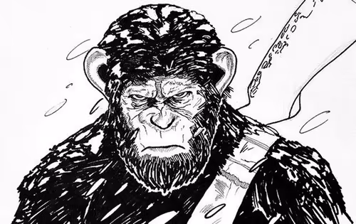 Item #48962084060186019940623196789396244510789399652711377126682244789105728684035 Media