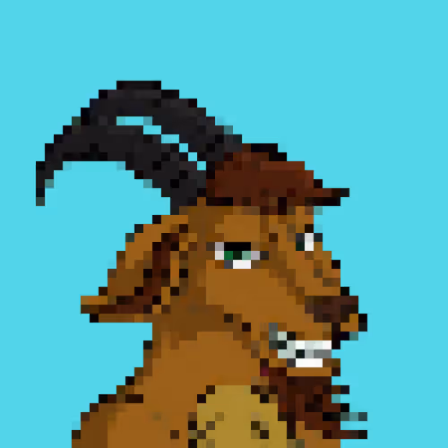 Untitled Collection #161643076