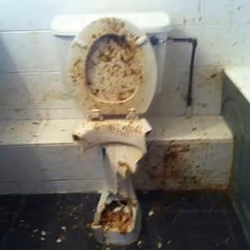 From the ass remained only ruins