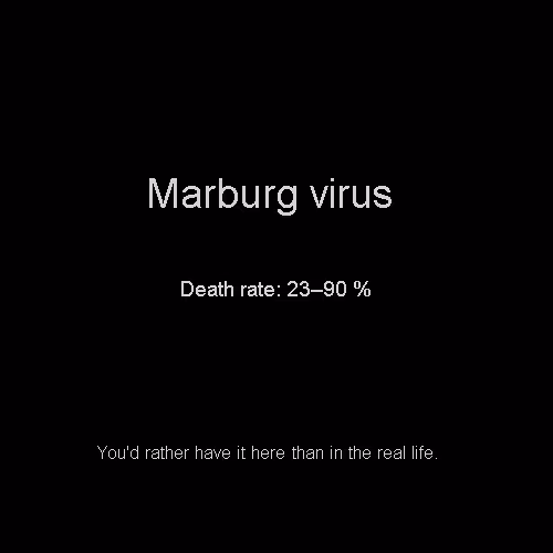Item #81808085032476359797455255547863298923837726005960725874573045503538124293096 Media
