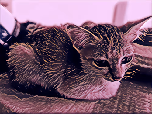 Item #74122138759525378795667626270866148487737655975912799548892276719041078362113 Media