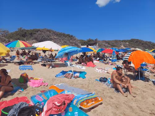 43505702085321246701285015339688837487321998718285252344027785124857530810369