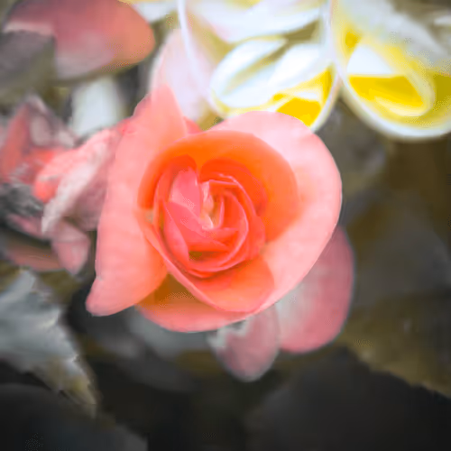 Item #84009224688457436911077818242985162617127929827345760770995272774074811547649 Media