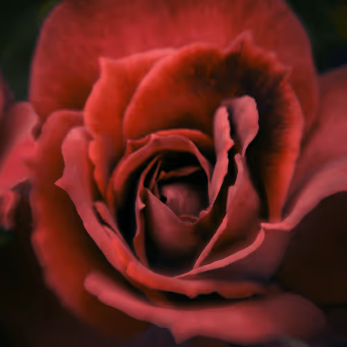 Item #84009224688457436911077818242985162617127929827345760770995272772975299919873 Media