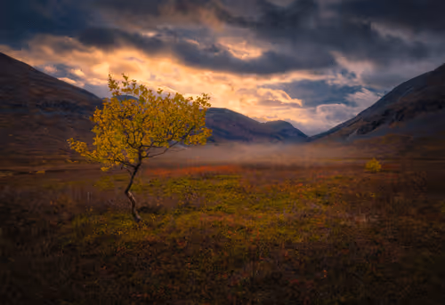 Item #96581077355438815098839991825512832741865857060493476294166675713875876249601 Media