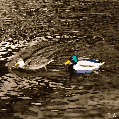 Item #10881848774020248026316343430380725366522796077829869949273763992202115022850 Media