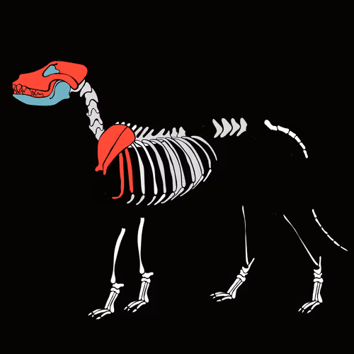 Item #66115251428437251400949335005857765940906863007353817121707627028640755089409 Media