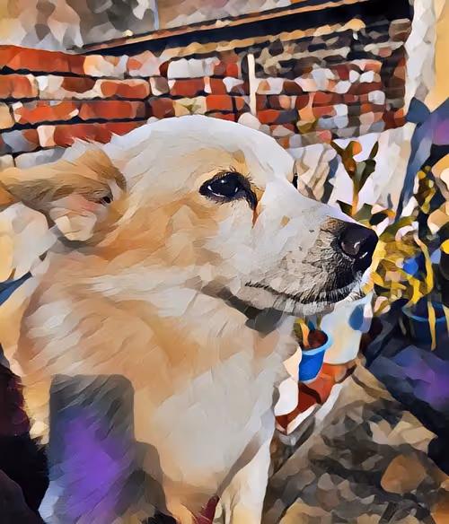 Item #23031905959659156565911612666946688064841237418599874939543073599175308345345 Media