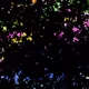 79847455760476516399087628697200587219444516265486563126667179569393778556929