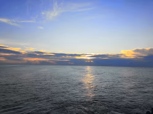 Untitled Collection #68251549