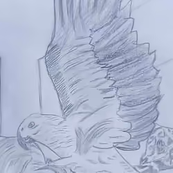 Aiko Papageno