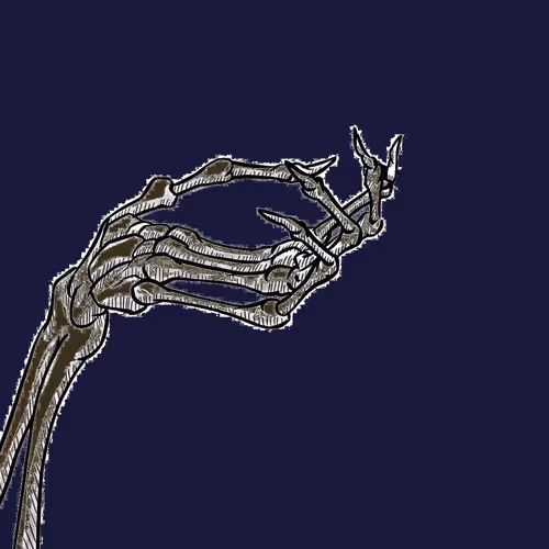 Item #62616844009388716191250310399153165393332022025774576993202299404633107333121 Media