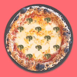 47891714998489968120364573701004085014275156290089657267517471907248489889793