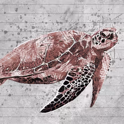 11276162529628641556553056529614973332754405277106184420845745700821335539713