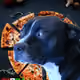 648008096045867044483137489329882592233555462946033952975387864001090158593