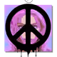 106268299365527056087224983488857589210217421118308589310470178455758200373249
