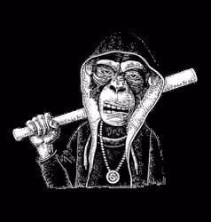 B monk