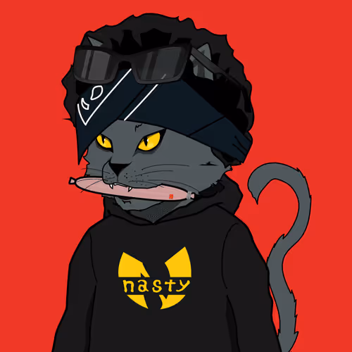 #27 TICAL nasty looking cat
