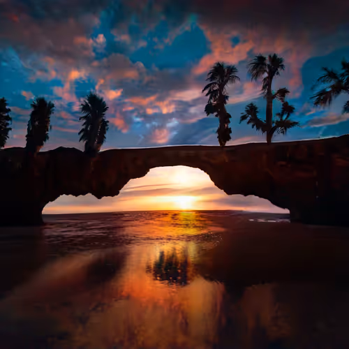 Item #104398479329666881771718976353666505075013016218349488327249406490639054405633 Media