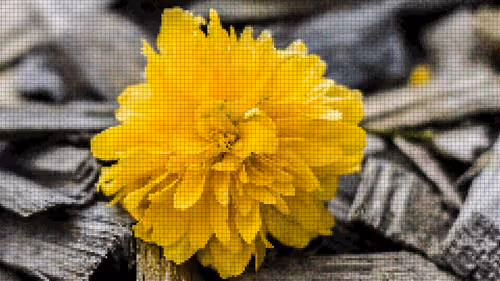 Item #75866091947728652238534111254584504918190435733442380629681527375739698020353 Media