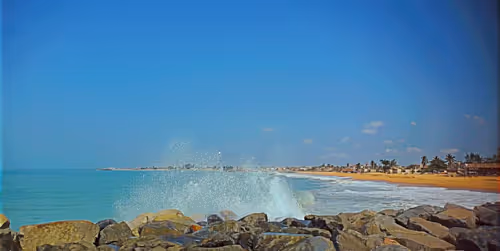 Item #41608925496439583284809555663885876184163164530978979239857956428727705403402 Media