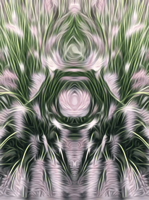 Item #65606485736527137616885657968113571188205075351696562298008986898408509800449 Media