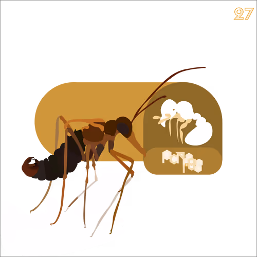 Item #24705041787920661933578063921032196695044586853584662932146667935795582599170 Media
