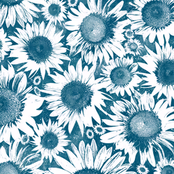 100202135889345252302615875004271900597951028782367159480816017586524979724293