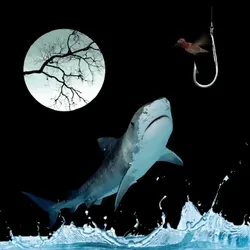 Shark Trap With Hook