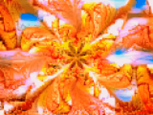 Item #55437075428099225609583927938539734080966803358472907790431973550903567319041 Media