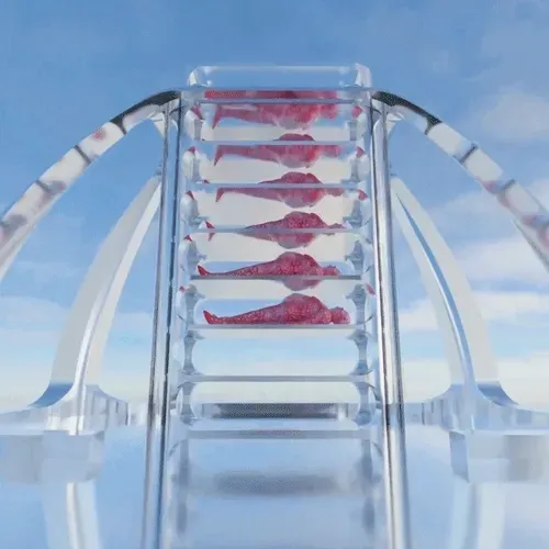 Item #86840999901680636627207767211132510364269791174198933715029395815306352394241 Media