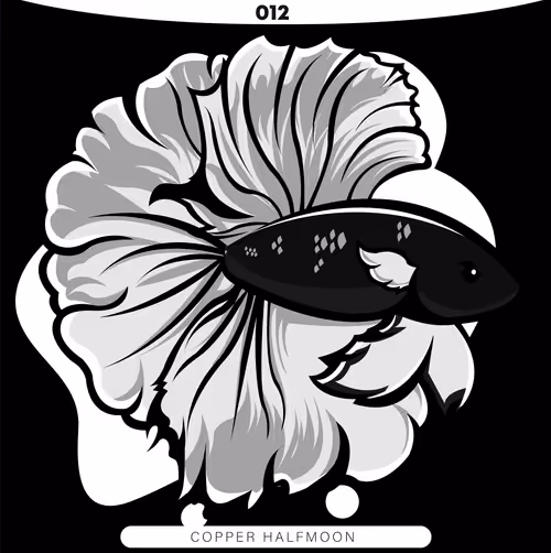 Item #71915282176282174012632358448723633474544225318645324977784202295497717710849 Media