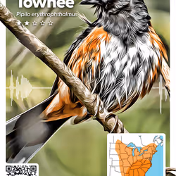 26102390610025884852824728088708208703251930988161684574571712842892115443737