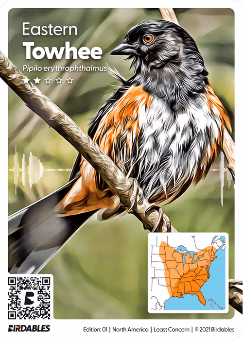 Item #26102390610025884852824728088708208703251930988161684574571712842892115443737 Media