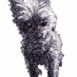 Monogram Art　Dog Yorkshire Terrier『犬』ヨークシャーテリア