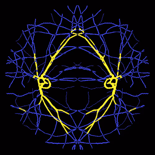 Item #7078802064077755305879053961196844759257248211509687953083586257434762543105 Media