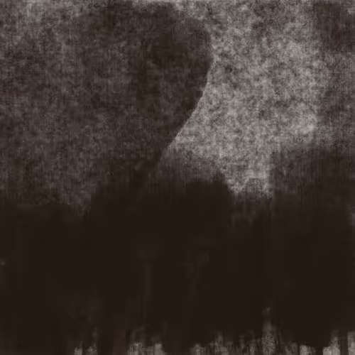 Item #16808852661278506792455587174628036526611769218420169512753900687296504528897 Media